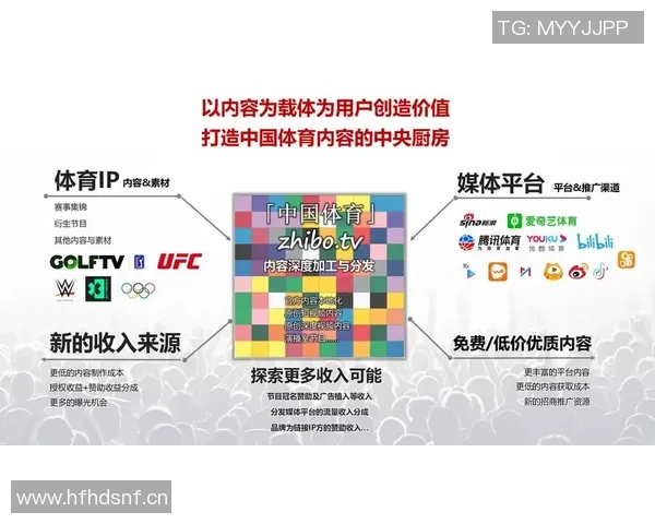 欧美粉丝文化探析：体育化运营与家族式支持的深度融合